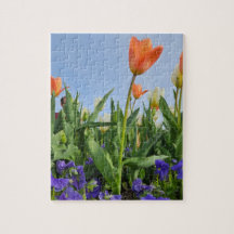 Tulpen en Pansies