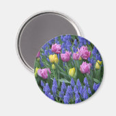 Tulpen en tuinbouillon magneet (Voorkant / Achterkant)