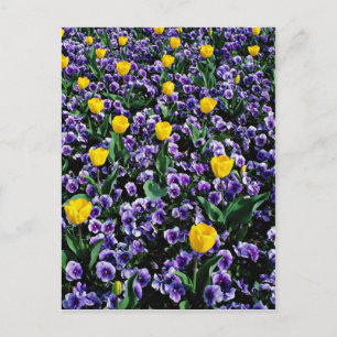 Tulpen en violette bloemen briefkaart