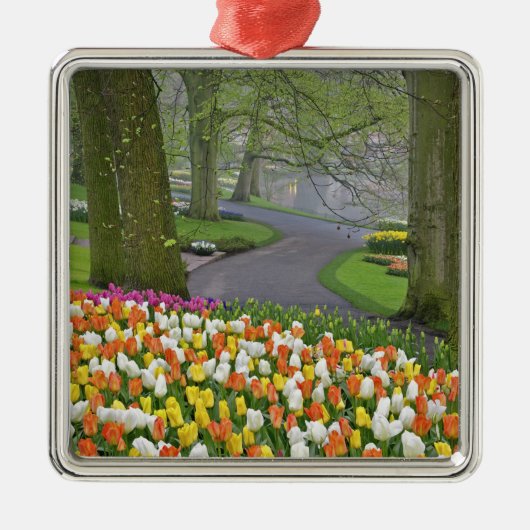Tulpen en weg, Keukenhof Gardens, Lisse; Metalen Ornament (Voorkant)