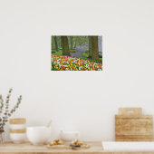 Tulpen en weg, Keukenhof Gardens, Lisse; Poster (Keuken)