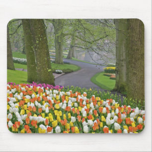 Tulpen en weg, Keukenhof tuinen, Lisse, Muismat