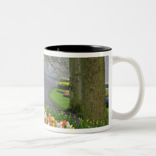 Tulpen en weg, Keukenhof tuinen, Lisse, Tweekleurige Koffiemok