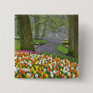 Tulpen en weg, Keukenhof tuinen, Lisse, Vierkante Button 5,1 Cm