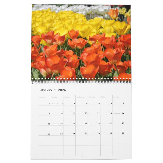 Tulpen en windmolens kalender (Feb 2026)