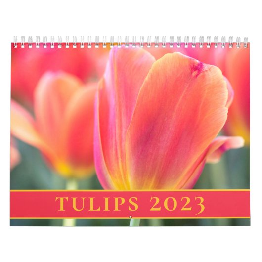 Tulpen Foto 2023 Kalender (Hoes)