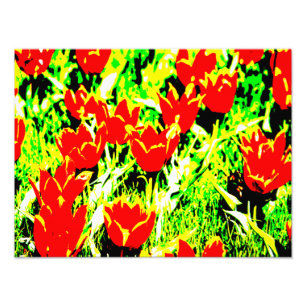 Tulpen Foto Afdruk