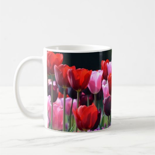 Tulpen foto Mok (Links)