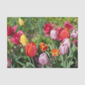 Tulpen Foto Tissuepapier (Voorkant)