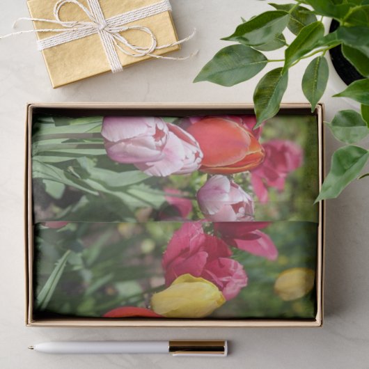 Tulpen Foto Tissuepapier (Geschenk)