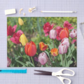 Tulpen Foto Tissuepapier (Craft)