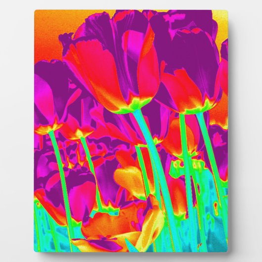 Tulpen Fotoplaat (Voorkant)