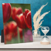 Tulpen Fotoplaat (Zijkant)