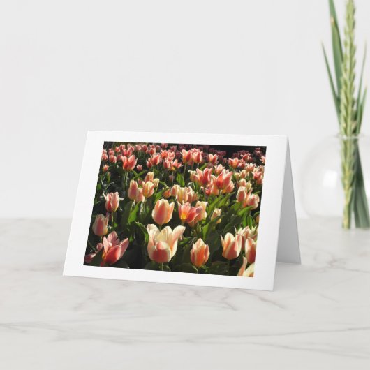 tulpen galore feestdagen kaart (Voorkant)