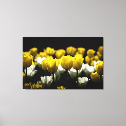 Tulpen geel en wit canvas afdruk (Voorkant)