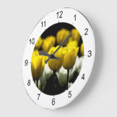 Tulpen geel en wit grote klok (Hoek)
