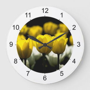 Tulpen geel en wit grote klok