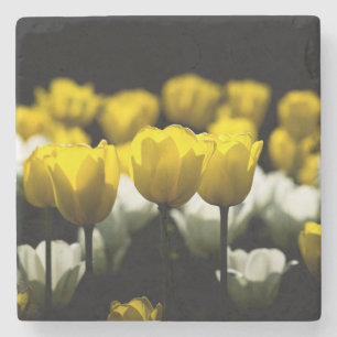 Tulpen geel en wit stenen onderzetter