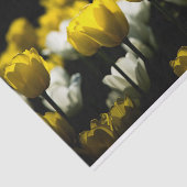 Tulpen geel en wit tissuepapier (Detail)