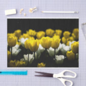 Tulpen geel en wit tissuepapier (Craft)