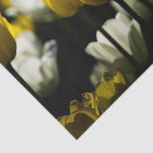 Tulpen geel en wit tissuepapier (Detail)