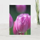 Tulpen 'Get Well Soon' kaart (Achterkant)