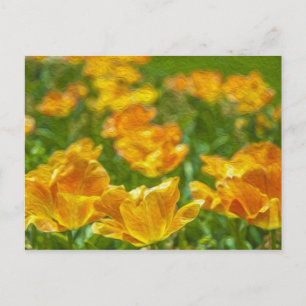Tulpen, geverfd briefkaart