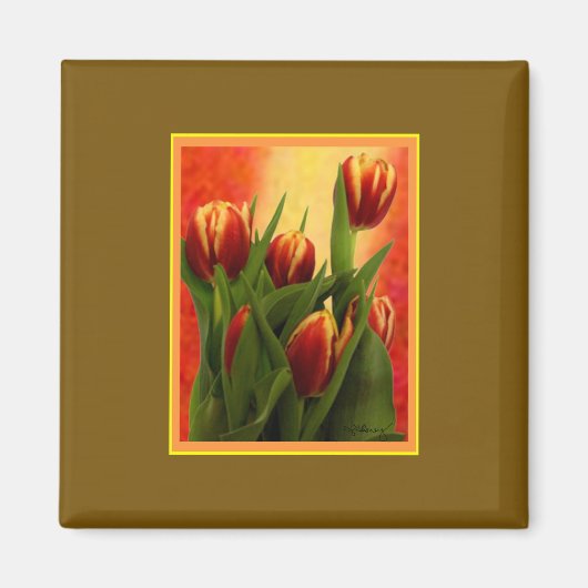 Tulpen Gibney Het MUSEUM Zazzle Gifts Magneet (Voorkant)
