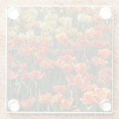 Tulpen Glas Onderzetter (Achterkant)