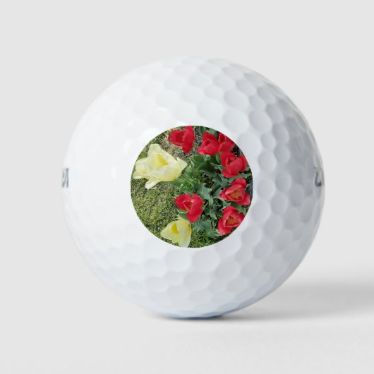 Tulpen Golfballen (Voorkant)