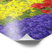 Tulpen, grafiethyacinth en affodils, 2 foto afdruk (Hoek)