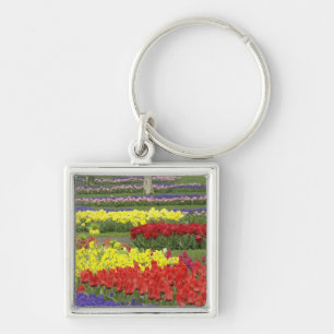 Tulpen, grafiethyacinth en affodils, 2 sleutelhanger