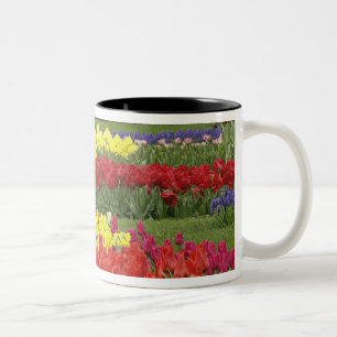 Tulpen, grafiethyacinth en affodils, 2 tweekleurige koffiemok