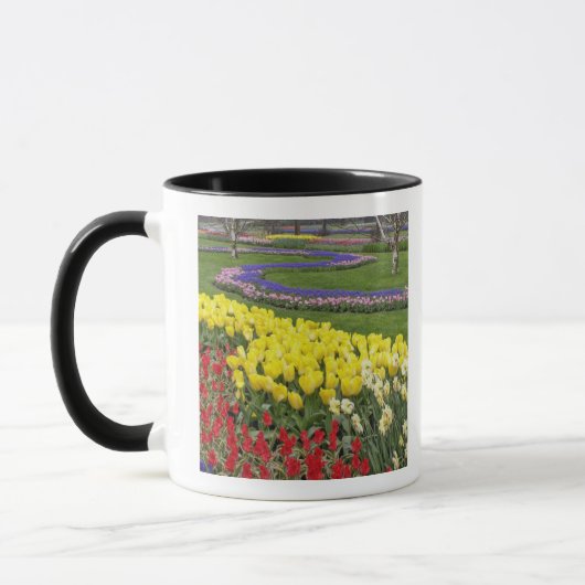Tulpen, grafiethyacinth en affodils, mok (Links)