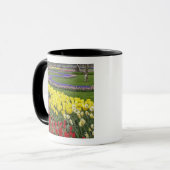 Tulpen, grafiethyacinth en affodils, mok (Voorkant links)
