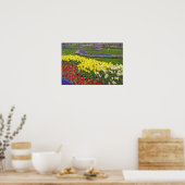 Tulpen, grafiethyacinth en affodils, poster (Keuken)