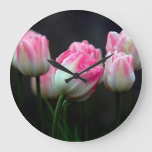 Tulpen Grote Klok