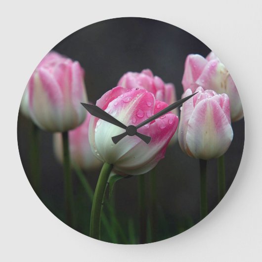 Tulpen Grote Klok (Voorkant)