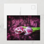Tulpen Gruß Briefkaart (Voorkant / Achterkant)