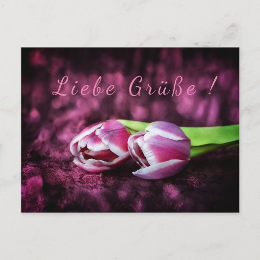 Tulpen Gruß Briefkaart (Voorkant)