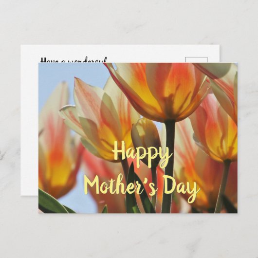 Tulpen Happy Moederdag Briefkaart (Voorkant / Achterkant)