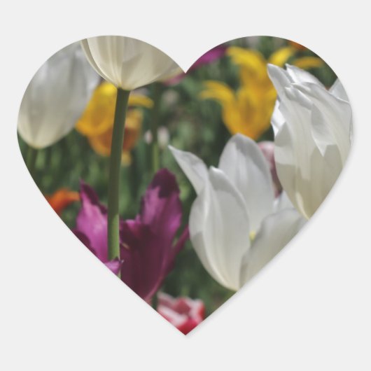Tulpen Hart Sticker (Voorkant)