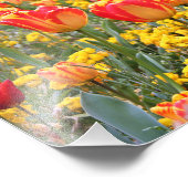 Tulpen, helder en kleurrijk geel en rood foto afdruk (Hoek)