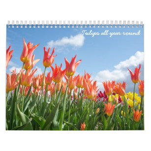 Tulpen het hele jaar door rond de kalender