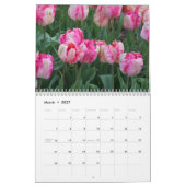 Tulpen het hele jaar door rond de kalender (Mar 2027)