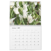 Tulpen het hele jaar door rond de kalender (Jan 2027)