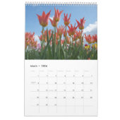 Tulpen het hele jaar door rond de kalender (Mar 2026)