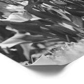 Tulpen in bloei poster (Hoek)