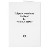 Tulpen in bossen (Achterkant)