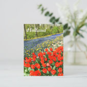 Tulpen in bossen briefkaart (Staand voorkant)